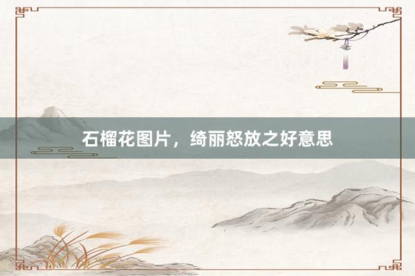 石榴花图片，绮丽怒放之好意思