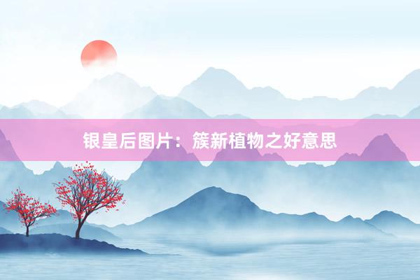银皇后图片：簇新植物之好意思