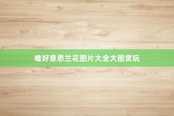 唯好意思兰花图片大全大图赏玩